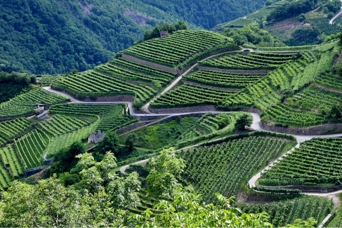 Prosit con le bollicine di montagna Trentodoc